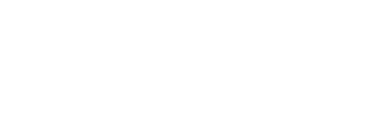 AVIA logo